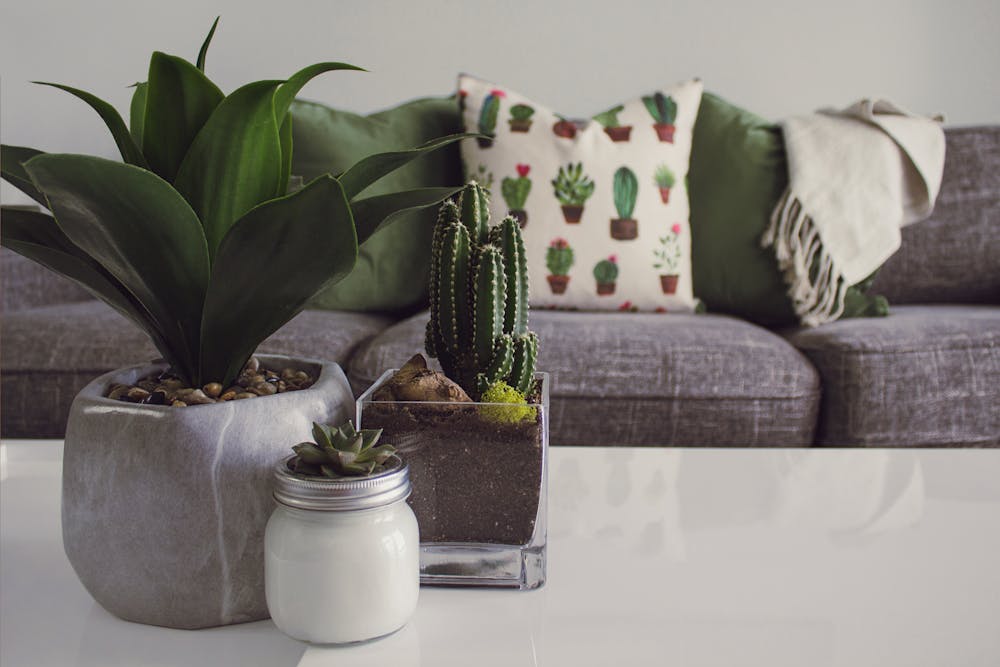 Guía Completa Para Decorar Tu Hogar: Fases Y Consejos Prácticos